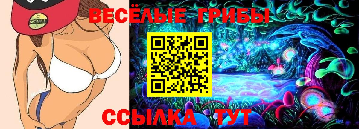 Бошки Шишки  LSD-25  Балашов  Вход с VPN  Меф кристаллы  ГАШИШ  COCAIN  MDMA  Гашиш  Метамфетамин 