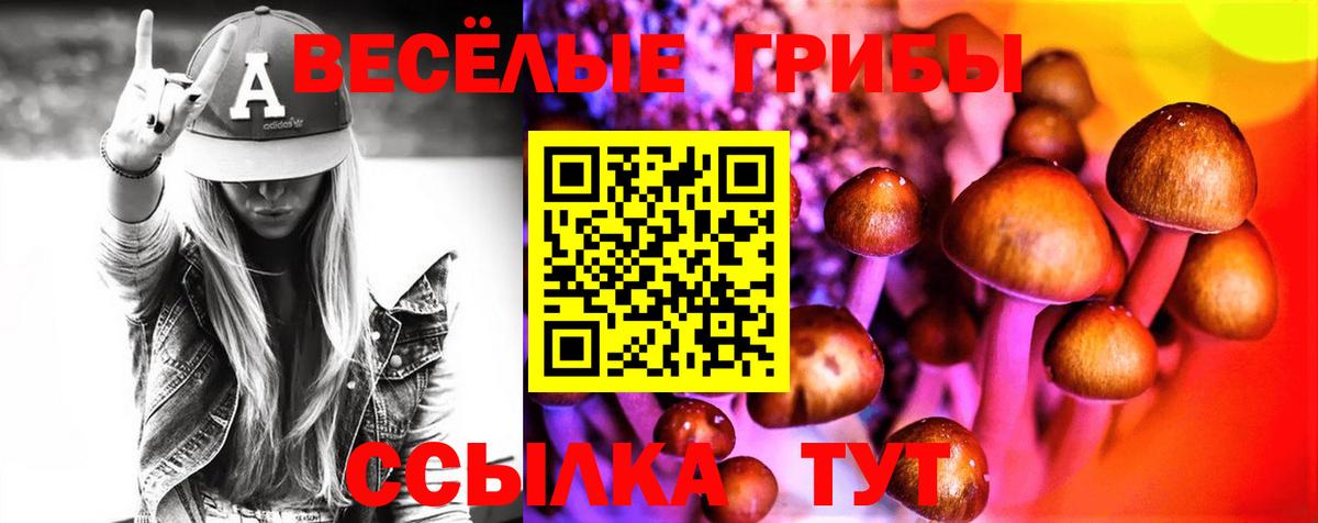 Галлюциногенные грибы GOLDEN TEACHER  Вход с VPN  Галлюциногенные грибы мухоморы  Балашов 
