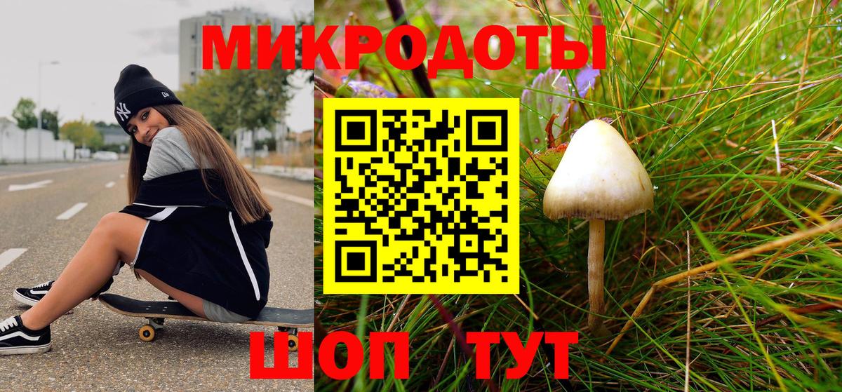 Псилоцибиновые грибы Psilocybe Балашов