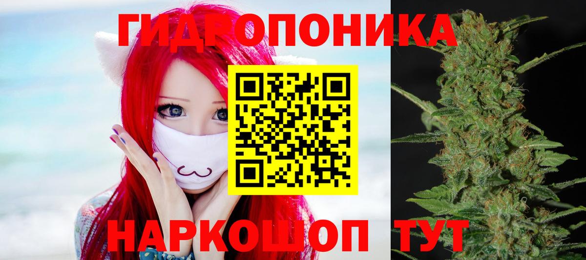 Балашов  Конопля MAZAR  Вход с VPN  Бошки Шишки индика  Бошки марихуана гибрид 